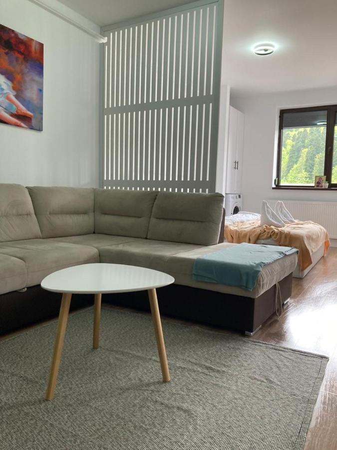 Best View Ap With Parking And 2 Bathrooms Sinaia Exterior photo